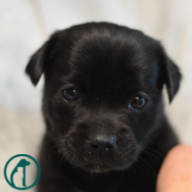 Fundraising Page: Gary Boone